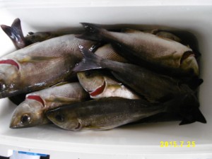 P1000081