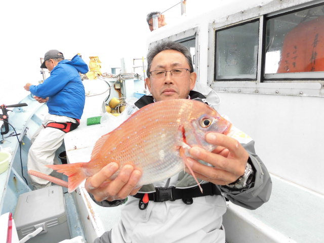 最近は伊良湖沖でもチダイが釣れます！